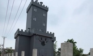 一村民房屋酷似“灰太狼城堡”走红：窗户是“狼爪”样式，房主花二十多万亲自设计