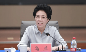 乌兰，无偿接受他人提供的高档服装和高端医疗服务，非法收受巨额财物