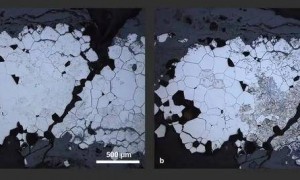三星堆新发现！7号坑出土“来自上天的馈赠”
