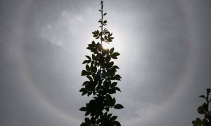 北京上空出现日晕奇观，太阳戴上“美瞳”
