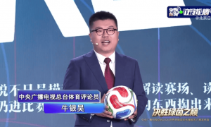 美加墨世界杯，央视解说阵容亮相