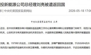 川投新能源公司总经理刘亮被遣返回国